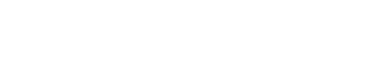 Robinson Wellfit Bonn Logo